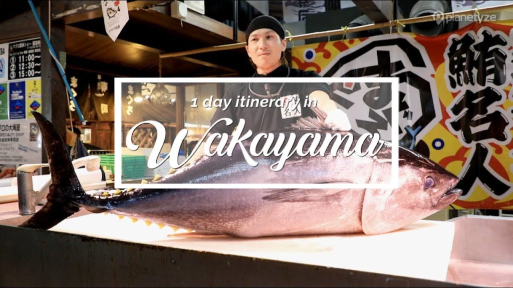 Wakayama – 1 Day Itinerary | Japan Itinerary suggestion Wakayama - 1 Day Itinerary | Japan Itinerary suggestion