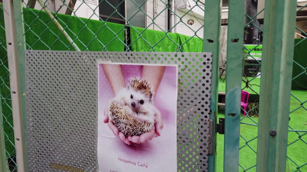 Take a walk through the back alley in Nakazaki-cho, Osaka