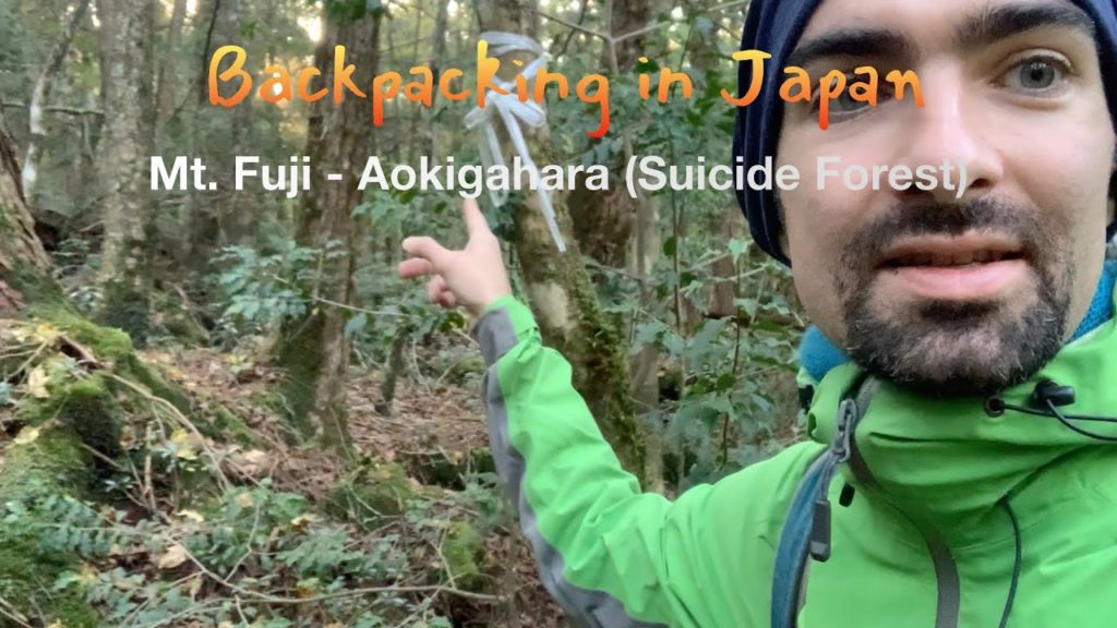 Backpacking in Japan 3/8 - Mt. Fuji and Aokigahara (Suicide Forest)