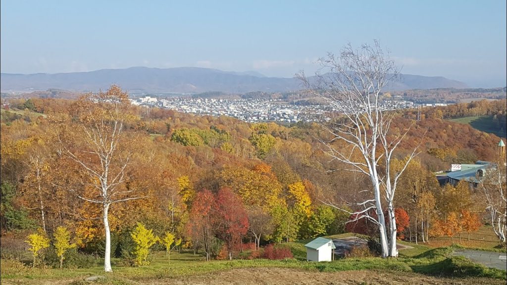 Shibetsu City, Hokkaido, Japan | Traveler Ni Shibetsu City, Hokkaido, Japan | Traveler Ni