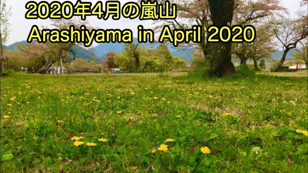 2020年春の京都嵐山Kyoto Arashiyama in the spring 春天的岚山 4月17日(金)【4K】