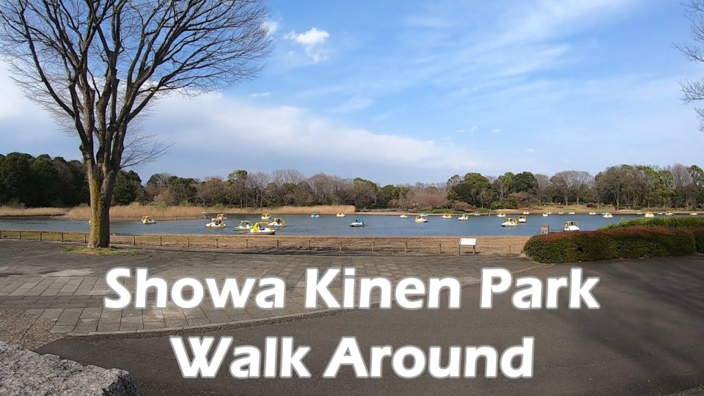 Walk around Showa Kinen Park in Tokyo. 東京の昭和記念公園を散策