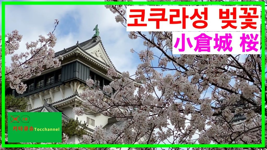 2020【장소소개・場所紹介】유구한 시간을 넘어 변화지 않는 "코쿠가성" 벚꽃　悠久の時を超え変わらない「小倉城」の桜【1분 기타큐슈・１分 北九州】