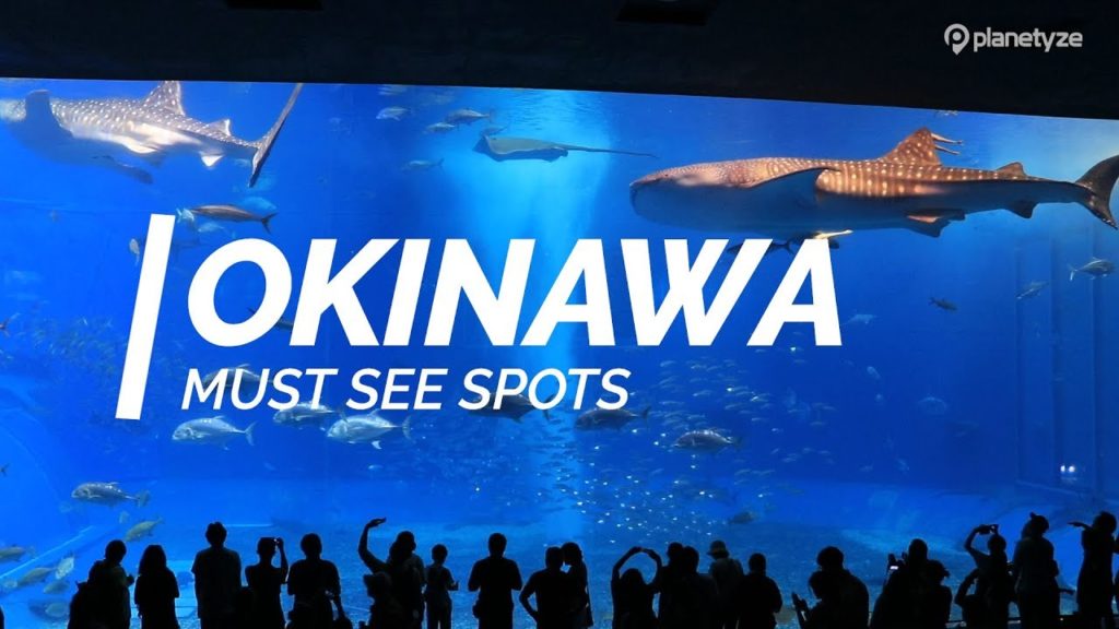 All about Okinawa – Must see spots in Okinawa | Japan Travel Guide All about Okinawa - Must see spots in Okinawa | Japan Travel Guide