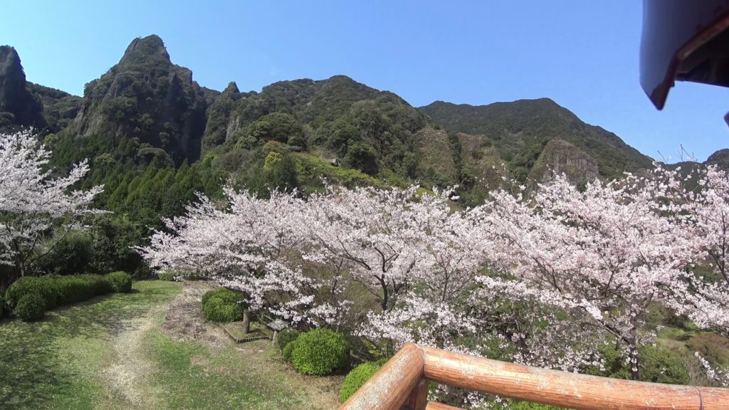 乳待坊公園展望台花見Chimachibo-park-observatory April 2020 Cherry Blossom Motorcycle Touring, Japan