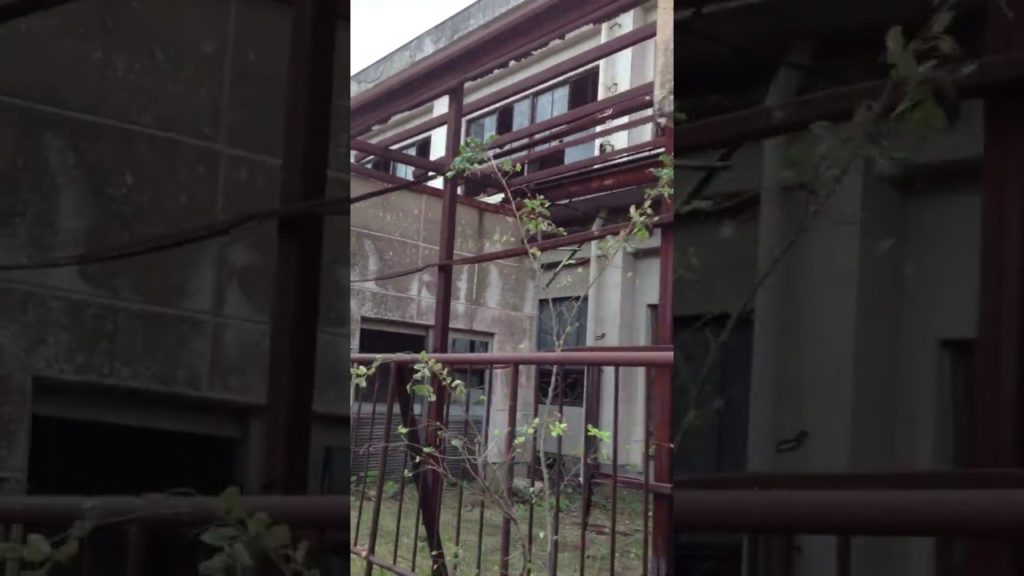 Tour Nagasaki can show you the most historical and amazing places that you will never forget.