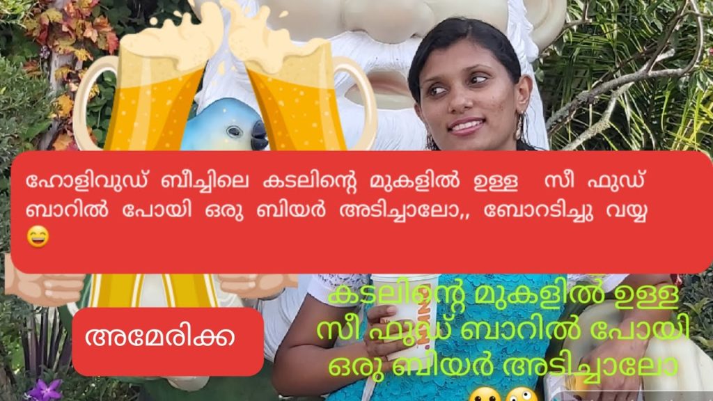 america sea food bar malayalam, american malayalam vlog,  ഫ്ലോറിഡ മിയാമി