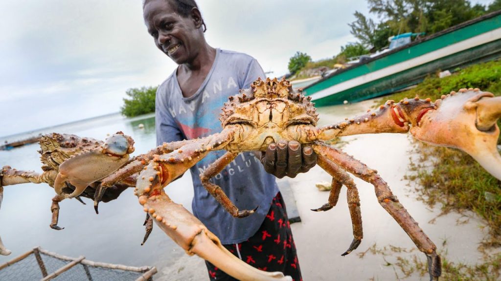 Huge Caribbean KING CRAB π¦ RUNDOWN!! Jamaican Seafood Tour – Jamaica! π―π² Huge Caribbean KING CRAB π¦ RUNDOWN!! Jamaican Seafood Tour - Jamaica! π―π²