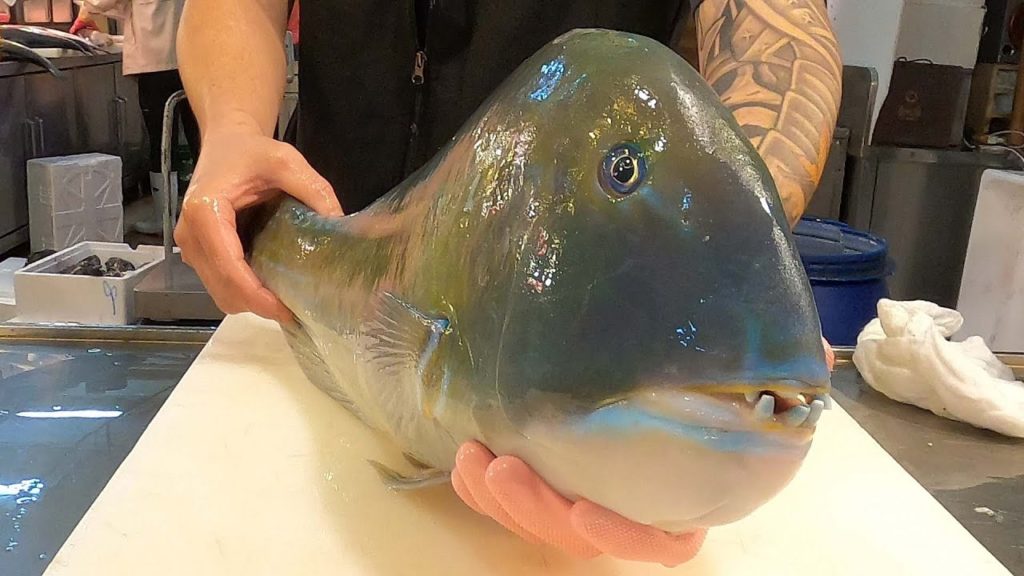 Taiwanese Street Food – GIANT TUSKFISH Sashimi Taiwanese Street Food - GIANT TUSKFISH Sashimi