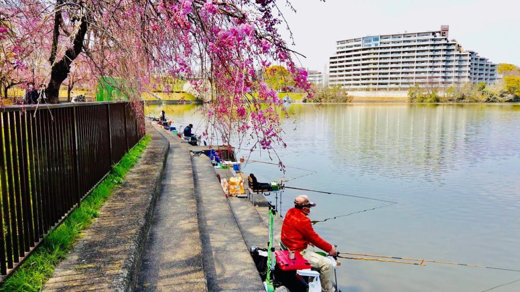 【4K】Japan Walking Tour | Heiwa Park Full of People & Spring Flowers | #ASMR 【4K】Japan Walking Tour | Heiwa Park Full of People & Spring Flowers | #ASMR