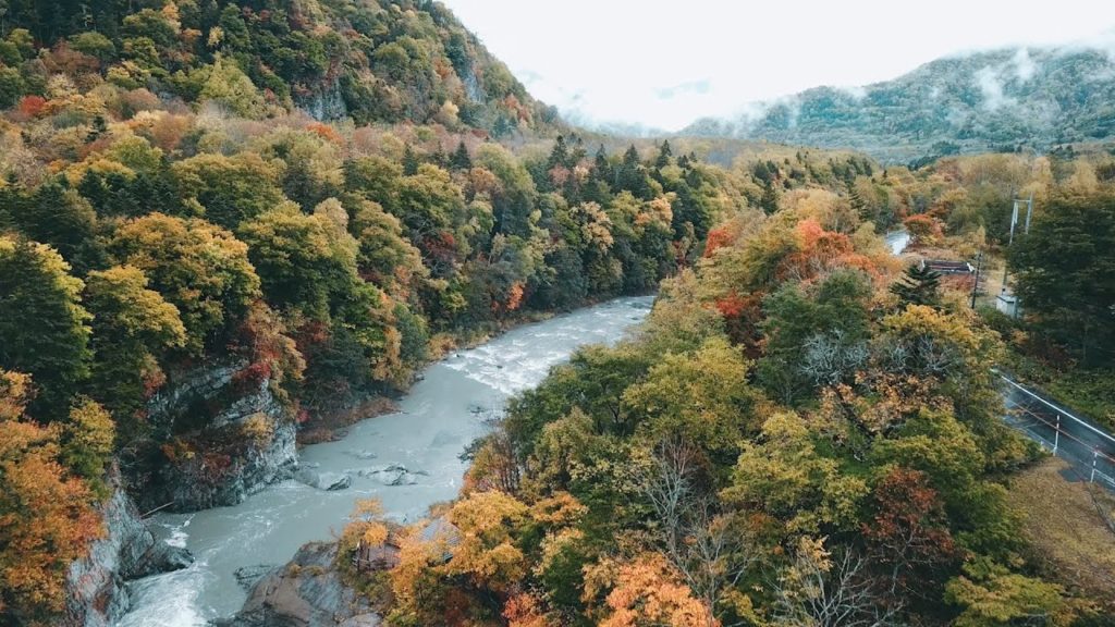Lights Of Japan #ZHIYUN Annual Short Video Contest 2019# Lights Of Japan #ZHIYUN Annual Short Video Contest 2019#