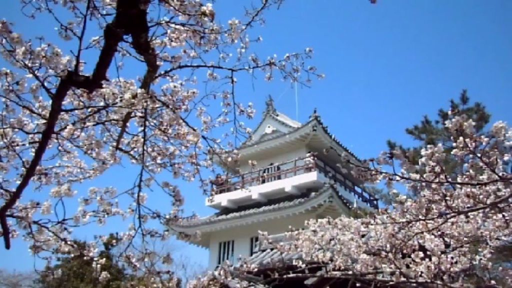 Springtime in Japan!!