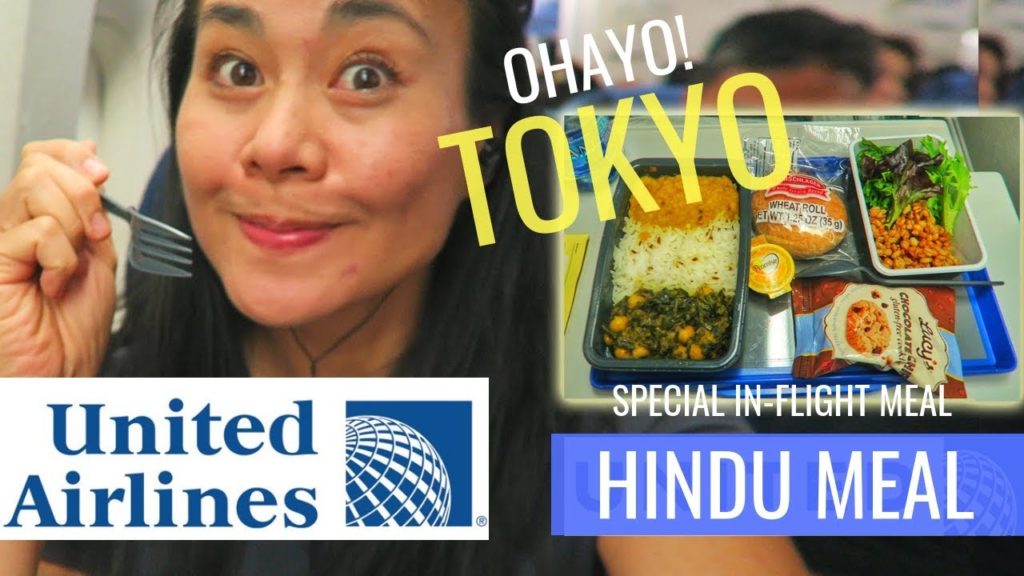 Arriving in TOKYO | UNITED AIRLINES Economy Review | Hindu Meal ► HNL-NRT