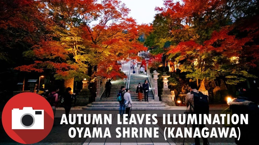 Walking on mt. Oyama (Kanagawa, Japan) – Afuri Shrine Autumn Leaves Illumination – 4K 60fps Walking on mt. Oyama (Kanagawa, Japan) - Afuri Shrine Autumn Leaves Illumination - 4K 60fps