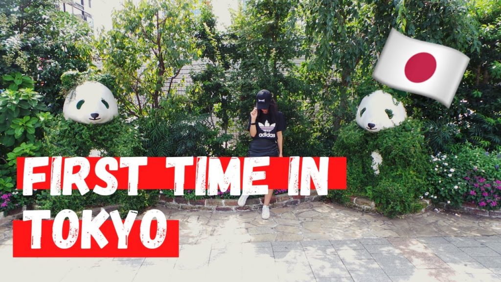 QUE FAIRE A TOKYO ? | JAPAN TRAVEL VLOG - Seiraz