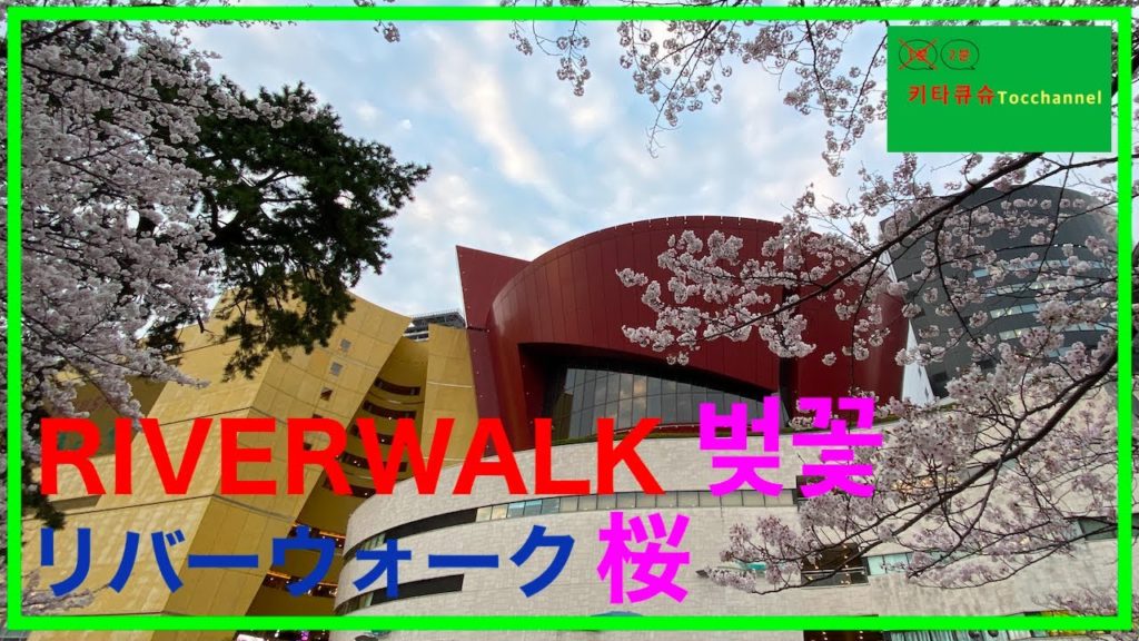 2020【장소소개・場所紹介】쇼핑도 벚꽃도 즐기자! "RIVERWALK 키타큐슈(기타큐슈)"　ショッピングも桜も楽しもう！「リバーウォーク北九州」【1분 기타큐슈・１分 北九州】