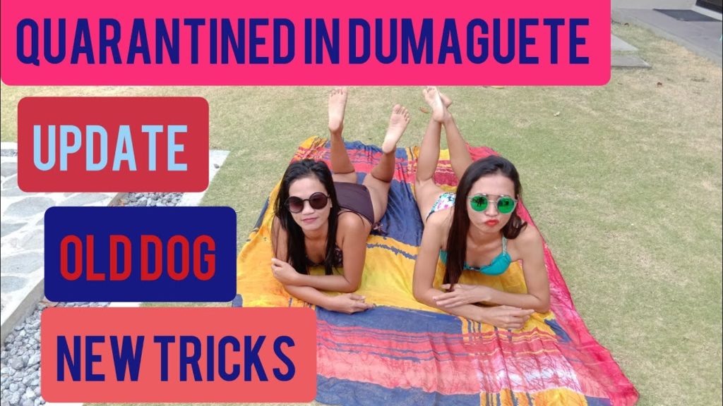 Old Dog New Tricks Update on the Quarantine in Dumaguete Philippines April 19 2020
