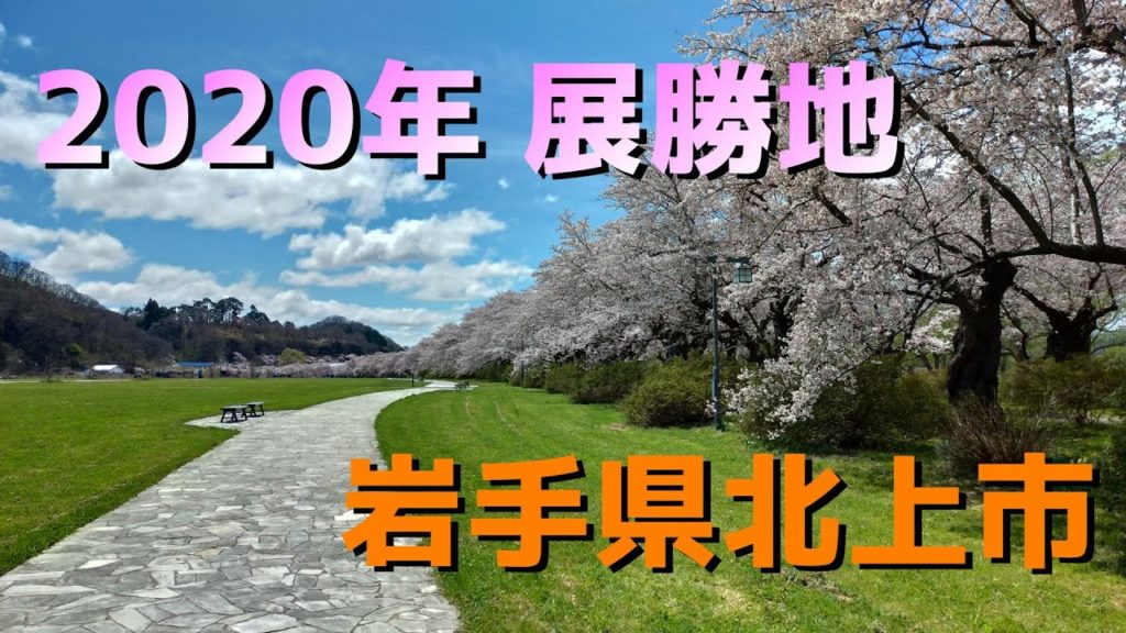 【展勝地】岩手県北上市 展勝地の桜並木