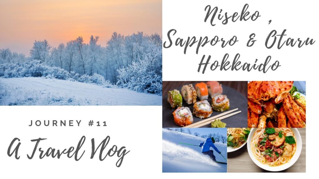 Japan Travel Vlog : Niseko , Sapporo and Otaru Hokkaido Travel Vlog Winter Edition
