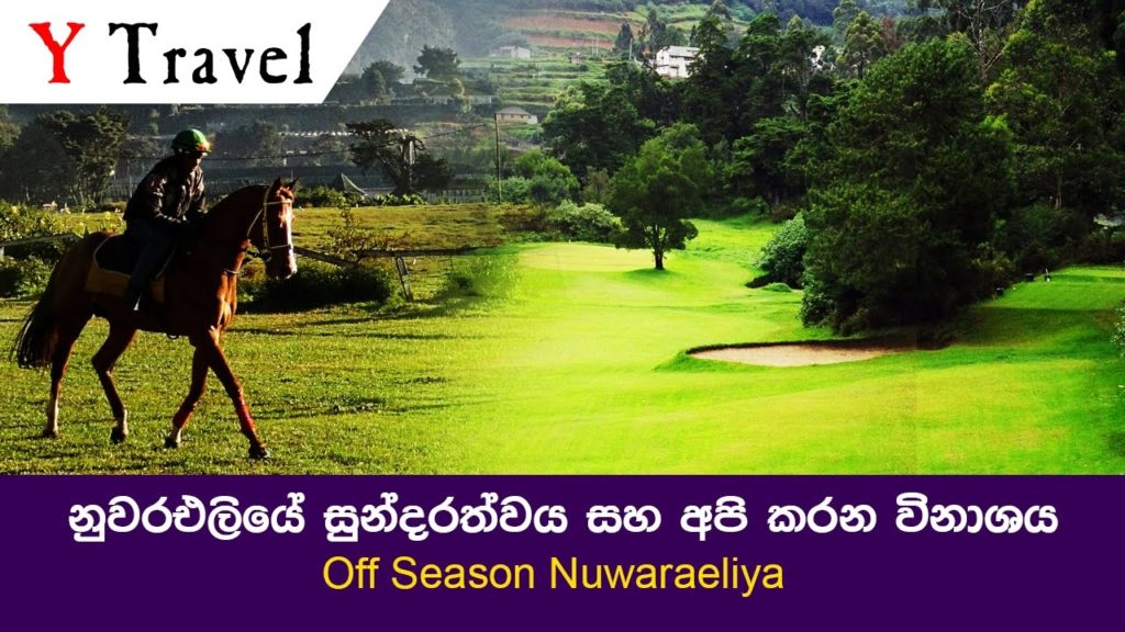 Y travel - Off Season Nuwaraeliya
