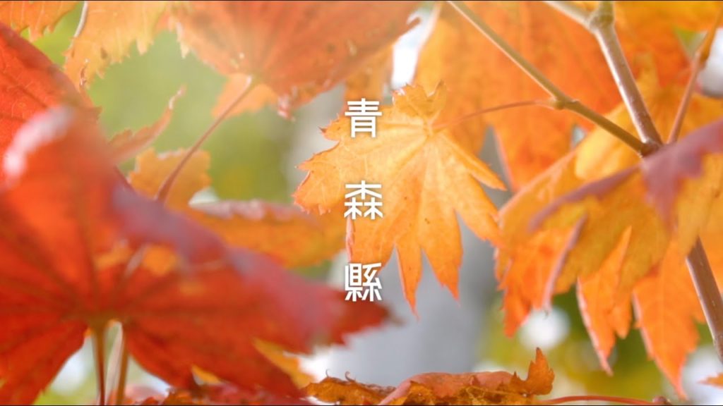 日本青森縣 Aomori Prefecture, Japan