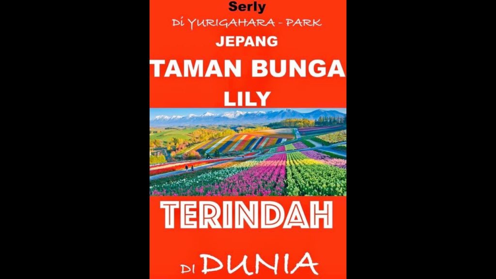 Taman Lily | Lilies Terindah di Dunia | Yurigahara Park | Sapporo | Hokkaido | Jepang