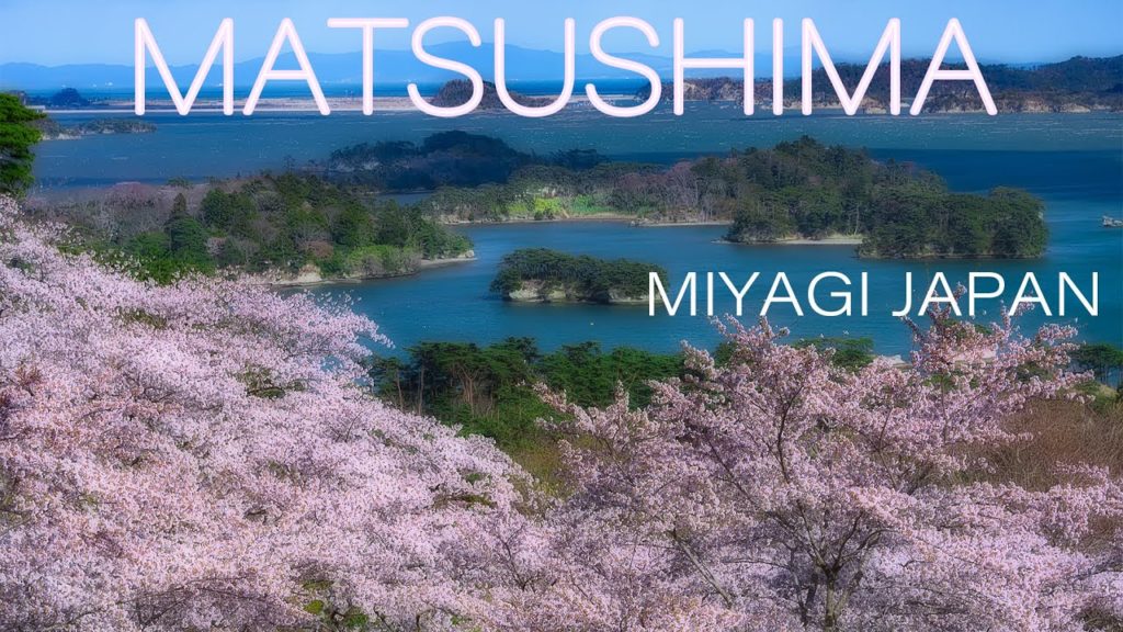 Beautiful MATSUSHIMA 日本三景松島の桜名所 西行戻しの松公園の風景 4K UHD Cherry Blossoms in Miyagi Tohoku Japan