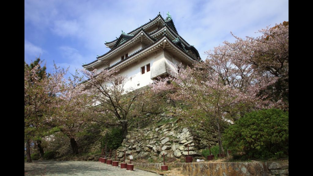 JG☆☆☆ 8K HDR Wakayama,Wakayama Castle in Sakura Season(Scenic Beauty,Historic Site) 和歌山 和歌山城(名勝,史跡)