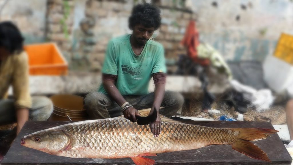 Live Big Skinless Fish Cutting | Fisherman | Indian Fish market 2019