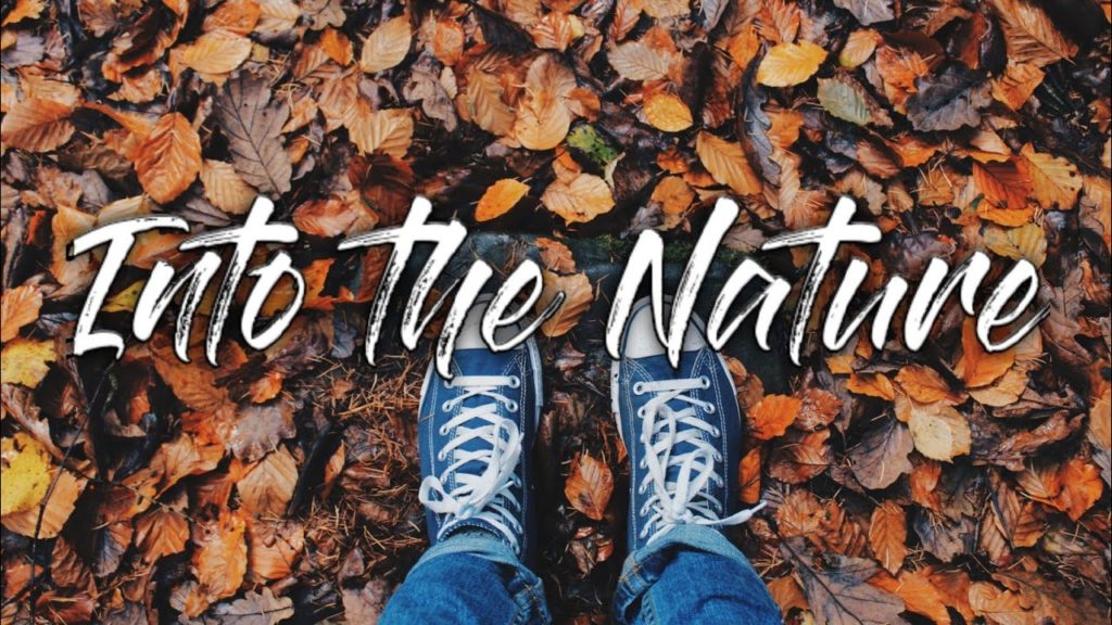 Into the Nature | Cinematic Travel Video | Be Myself - Nettson