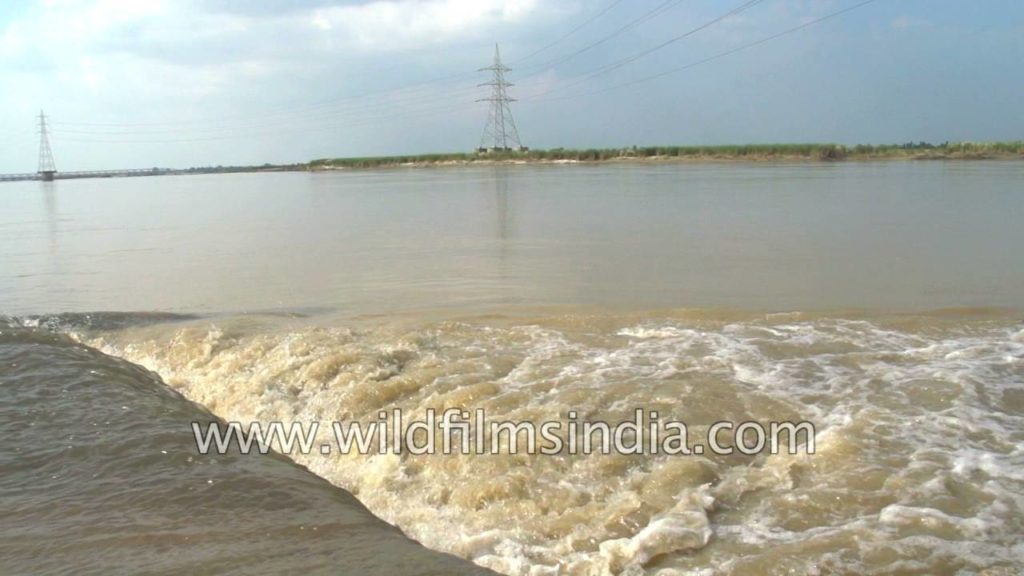 Tannery and factory polluted waste water drains into the Ganga in Kanpur Tannery and factory polluted waste water drains into the Ganga in Kanpur