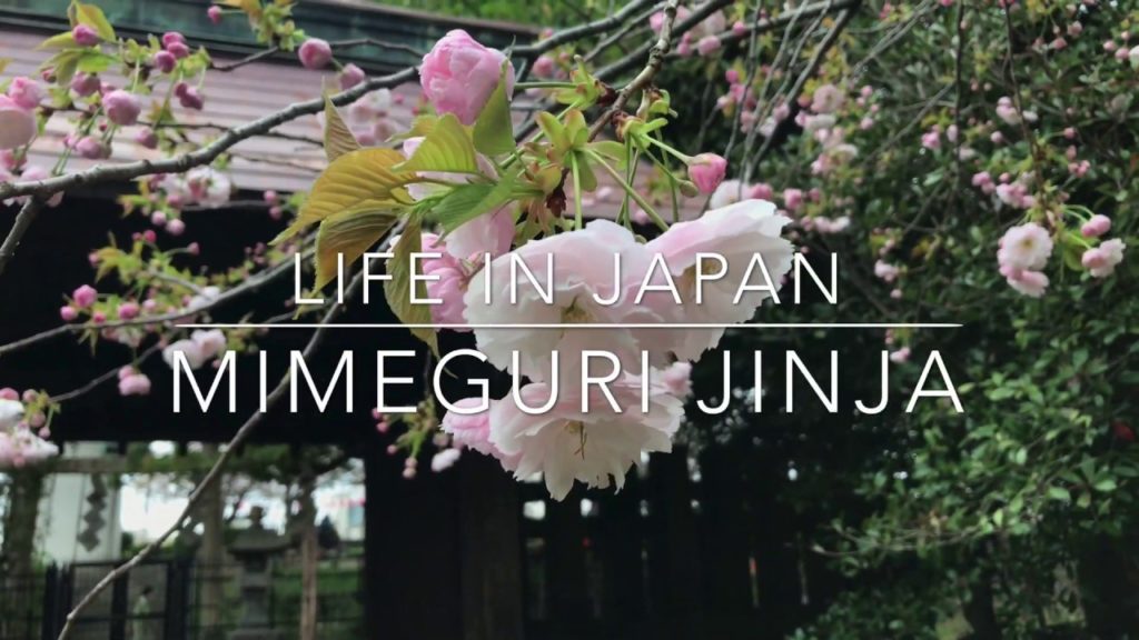100 Beautiful Places to Go in Tokyo 9  - Mukojima "Mimeguri jinja" [4K] Discover Japan
