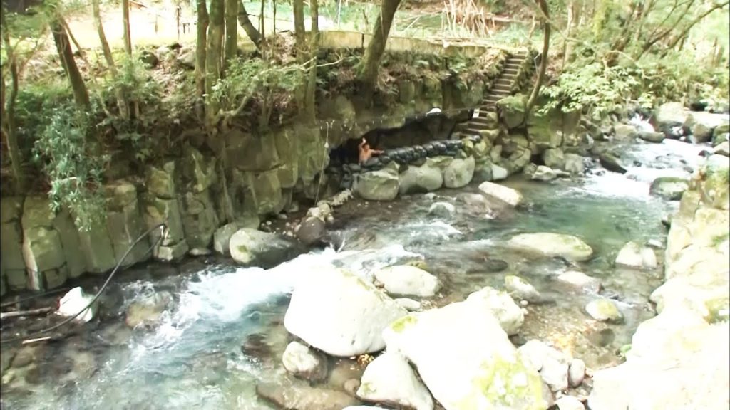 温泉「七滝温泉ホテル」静岡/旅行で寄りたい!! 全国おすすめ観光スポット