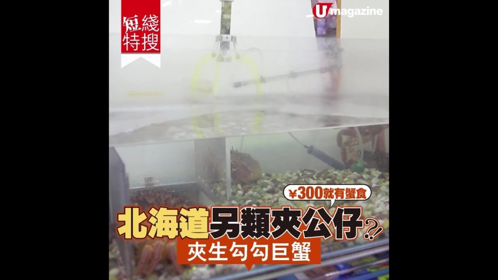 【#北海道美食】北海道另類夾公仔？！夾生勾勾巨蟹