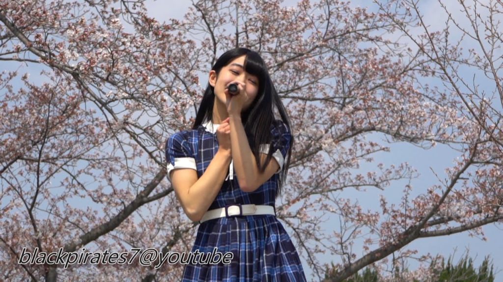 桜の下で。。。　アイドルコンサート　　お花見　CHERRY-BLOSSOM / JAPAN