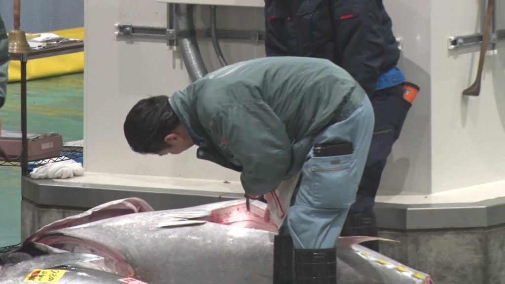 A Special Eye for Quality At Toyosu Fish Market