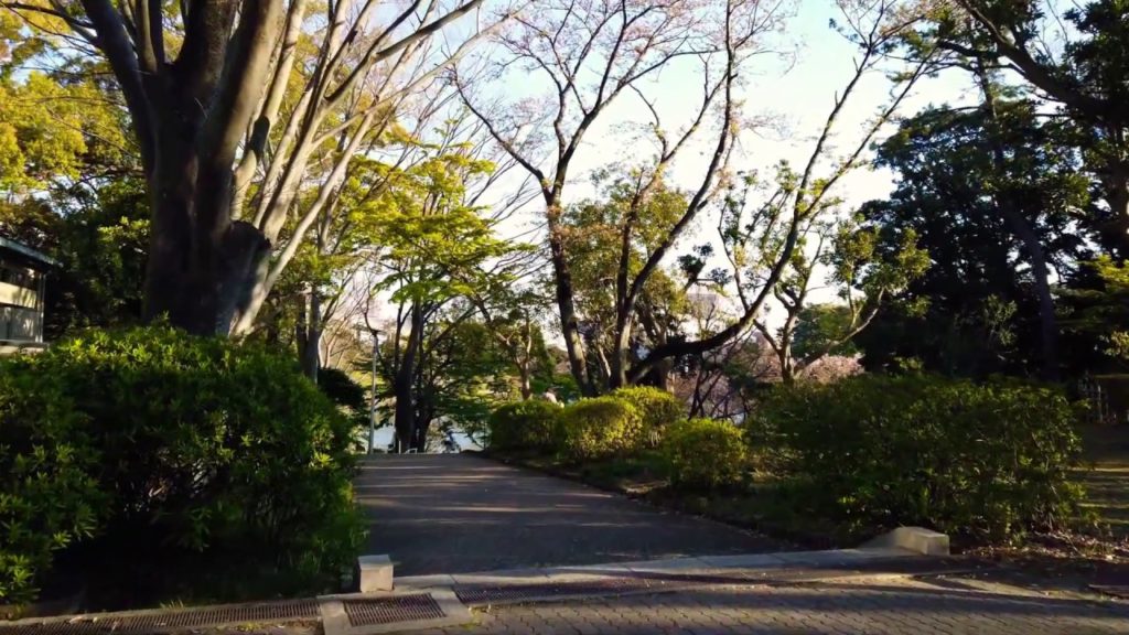 Evening Walk in Chiba Park Japan | DJI OSMO POCKET 4K  Video | Walk Japan  vlog#3