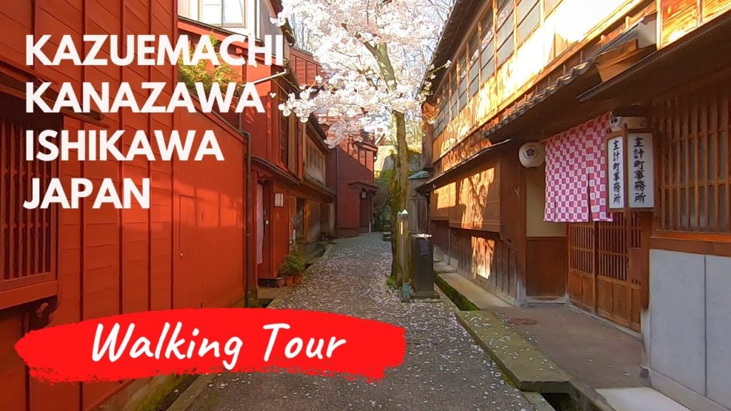 Japan Walking Tours | Kazuemachi Chaya District | Cherry blossom (Sakura) season