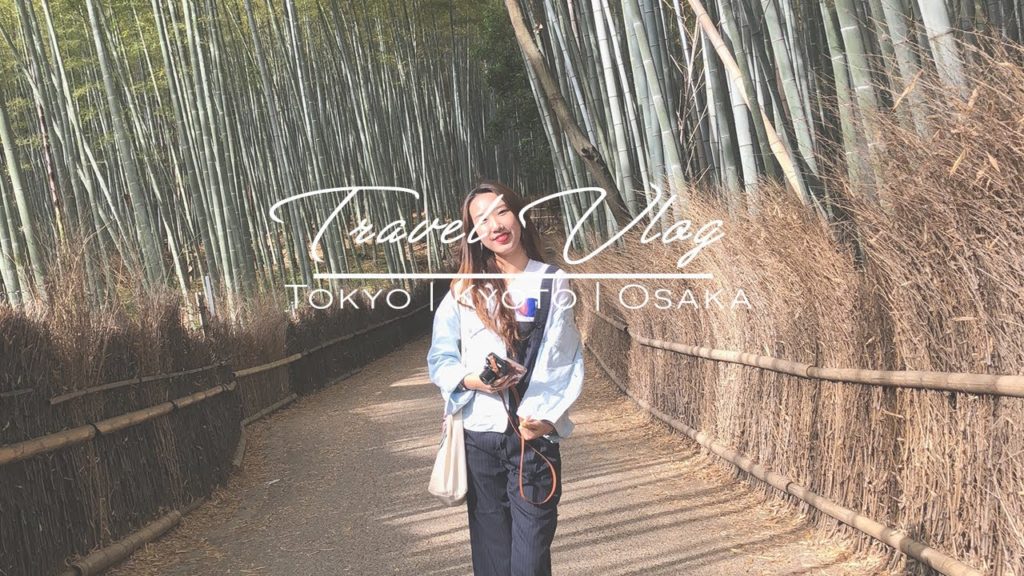 Tokyo, Japan Vlog (May, 2018)
