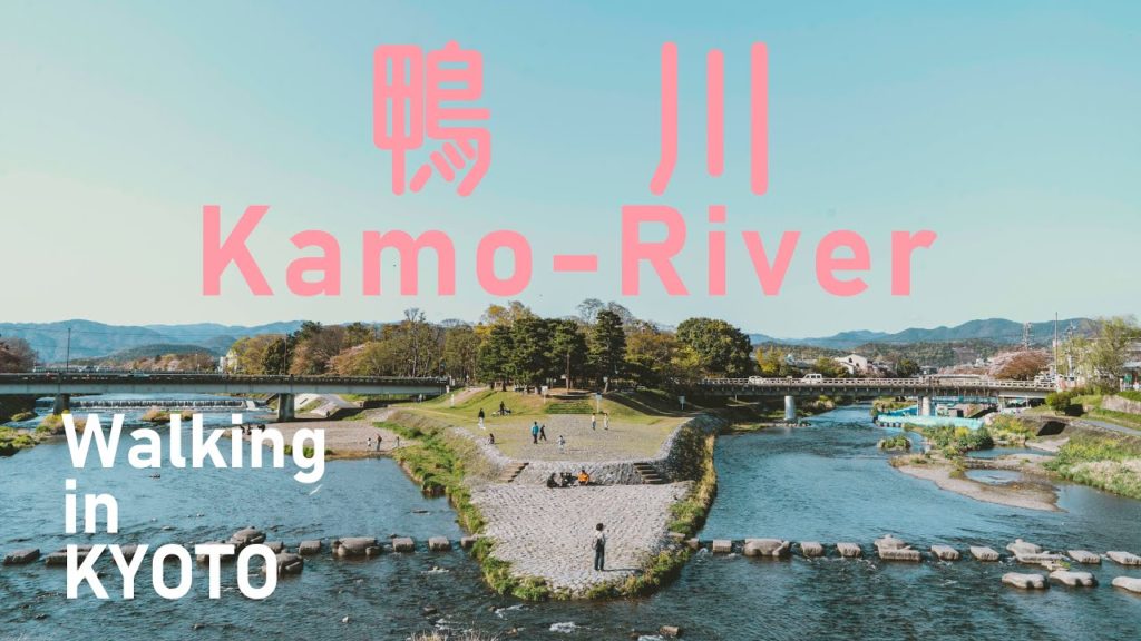 【京都散歩/Walking in kyoto#01】鴨川をただまっすぐに歩く/Walk straight along the Kamo-River京都的风景 [Slow TV]