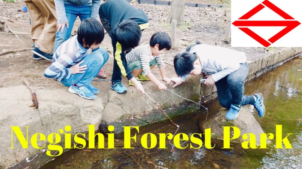 Negishi Forest Park, Yokohama Travel Vlog in Japan 2020 🇯🇵