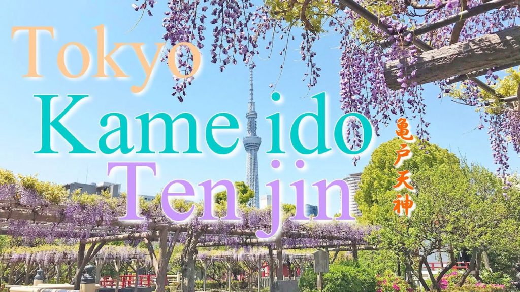 100 Beautiful Places to Go in Tokyo 12 "Kameido Tenjin" in Kameido, Tokyo, Japan [4K] Discover Japan