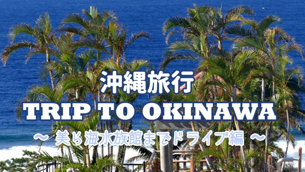 沖縄旅行 その２ ★TRIP TO OKINAWA★〜美ら海水族館までドライブ編〜
