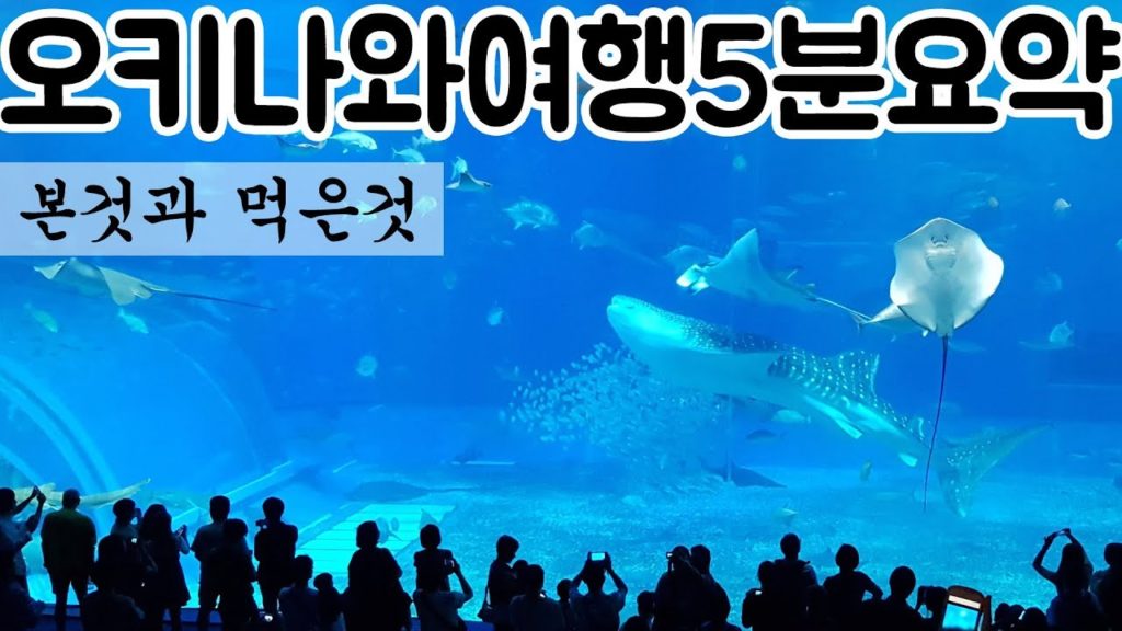 023. 오키나와 여행 5분 요약 Okinawa trip summary 5 minutes