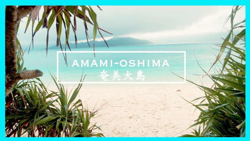 【Cinematic Vlog】奄美大島 美しい海 travel Japan lost in Amami-Oshima island【Beautiful Destinations】