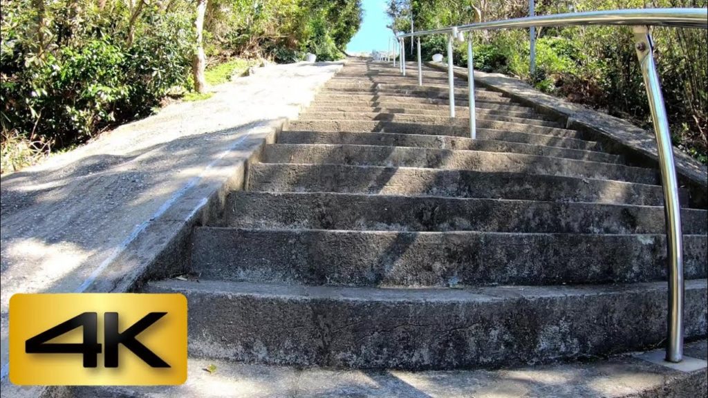 【4K 60fps】Climb big stairs in  Sunosaki Shrine  Chiba Japan(洲崎神社）【2020】Tokyo in 2.5 hours!