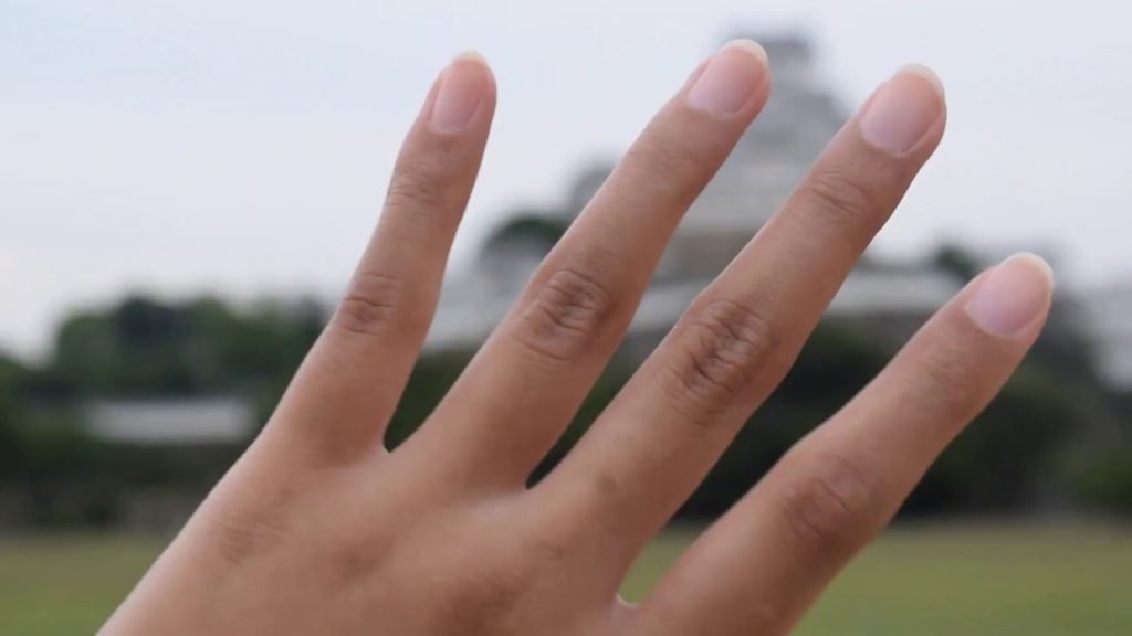 TRIP AROUND HIMEJI, HYOGO-KEN, JAPAN! TRIP AROUND HIMEJI, HYOGO-KEN, JAPAN!