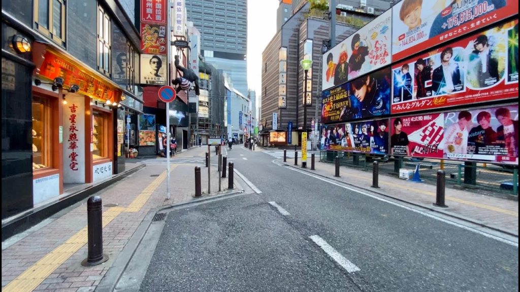 【4K】Walk on EastShinjuku(東新宿) at Tokyo【2020】