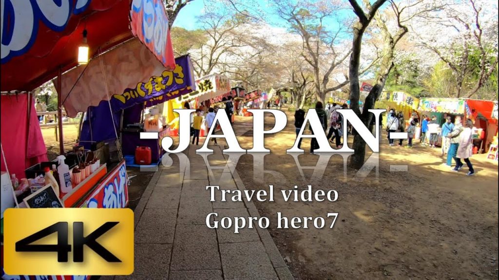 JAPAN TRAVEL VIDEO |Walk the road of cherry blossoms and stalls  Chiba Japan(清水公園)|Gopro 4K 60fps