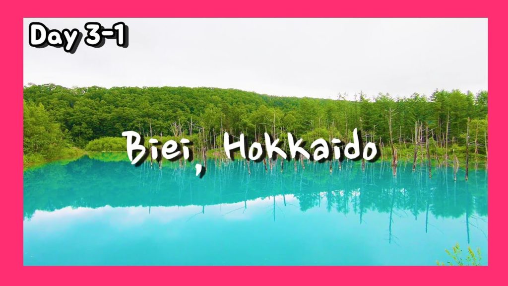[여행vlog] 2019.7.3~7 홋카이도 여행 DAY.3-1 ✈️ Travel to Hokkaido, Japan ✈️ 北海道